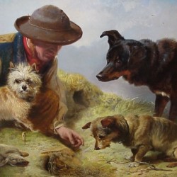 A man with his dogs